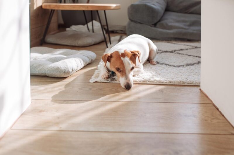 Drewniane podłogi doskonale współpracujące z ogrzewaniem podłogowym: Praktyczny przewodnik